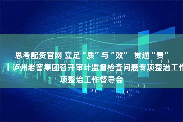 思考配资官网 立足“质”与“效” 贯通“责”与“链” |泸州老窖集团召开审计监督检查问题专项整治工作督导会