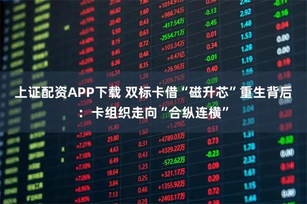 上证配资APP下载 双标卡借“磁升芯”重生背后:卡组织走向“合纵连横”