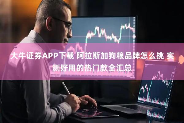 大牛证券APP下载 阿拉斯加狗粮品牌怎么挑 实测好用的热门款全汇总